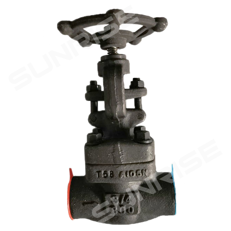 Globe Valve 3/4” CL800, Socket Weld End , Body ASTM A105; Trim :1 #, API 602