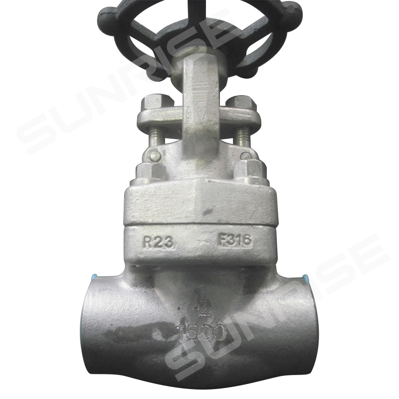 Forged steel Globe Valve, 2inch CL1500, Body material ASTM A182 F316,Ends: NPT END