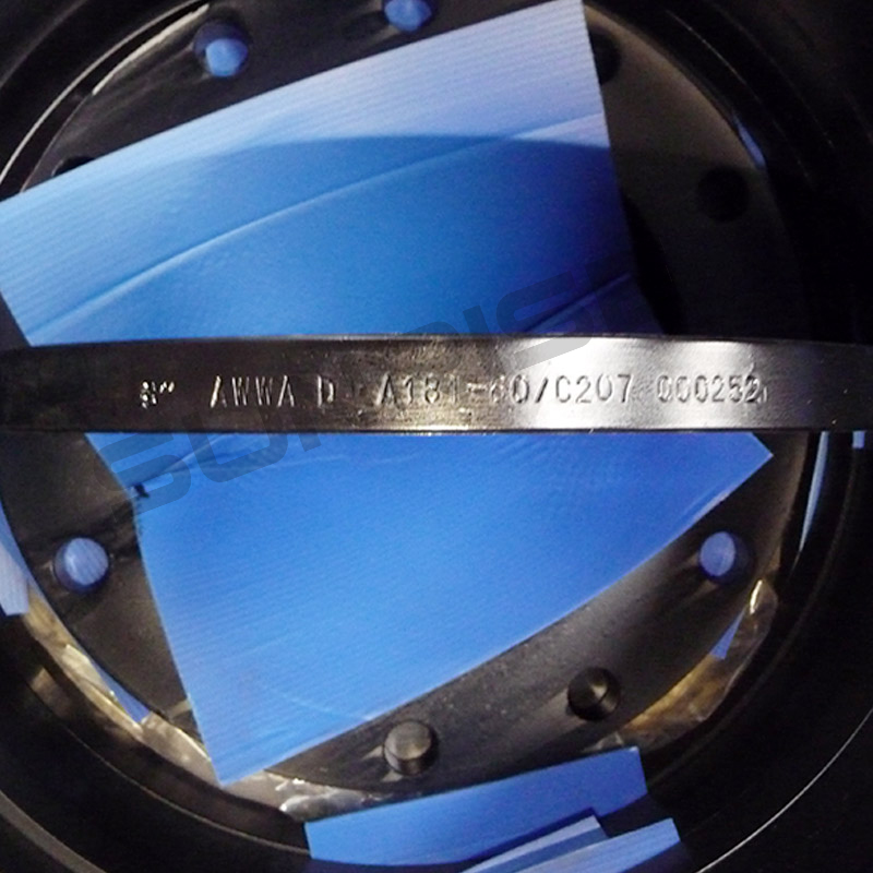 AWWA A181 F60 Weld Neck Flange, Size 30 Inch, Class 150, Wall Thickness: SCH 40, RF End Connect, ANSI B16.5