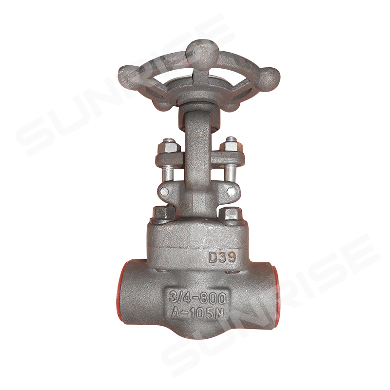 Forged steel Globe Valve, 3/4inch CL800, Body material ASTM A105N,Ends: SW END