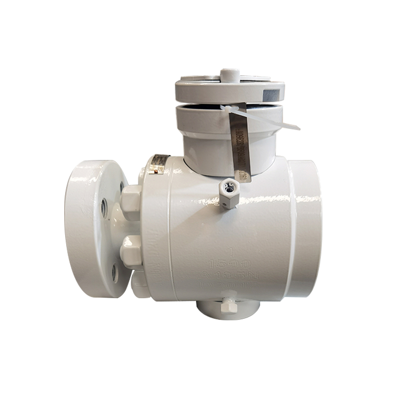 Trunnion Ball Valve, Size 8” CL1500LB, Body :ASTM A182 F51 ;Ball Material:SS316; End Connect: RTJ Flange End; API 6D