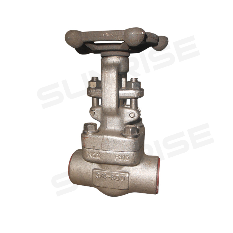 Solid Wedge Gate Valve, OSY&BB,Forged Steel 3/4” CL800LB, Body :ASTM A182 F316 ;Trim Material : SS316; End Connect: NPT; ANSI B16.11
