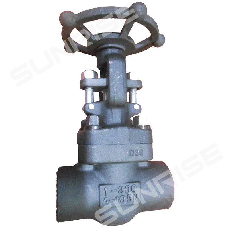 Globe Valve 1” CL800, Thread End , Body ASTM A105N; Trim :1 #, API 602 