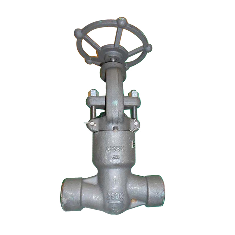 Globe Valve, Size: 1” , Pressure : CL2500, Body :ASTM A105N ;Trim Material :5#; End Connect: Socket Weld ; Design Standard : API 602