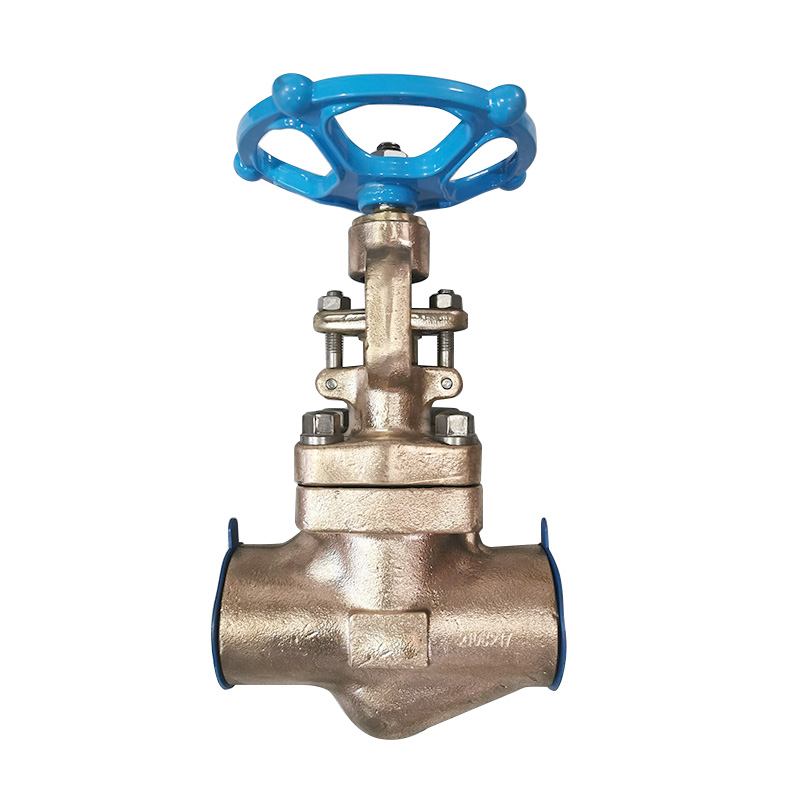 Globe valve 2” ANSI 300 RF Body material: ASTM A995 4A + STL , trim:  ASTM A182 F60 + STL;