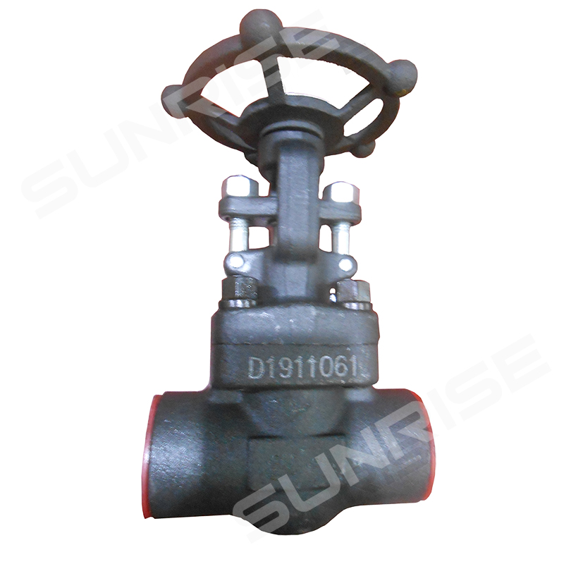 Globe Valve 1” CL1500, Thread End , Body ASTM A105N; Trim :1 #, API 602 