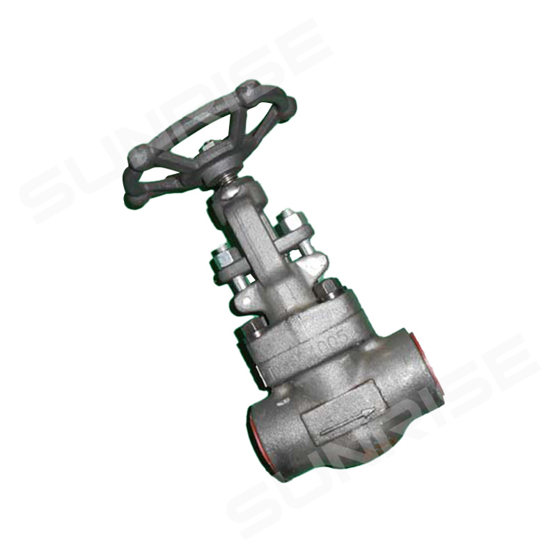 Forged steel Globe Valve,1inch CL800, Body material ASTM A182 F91,Ends: SW END