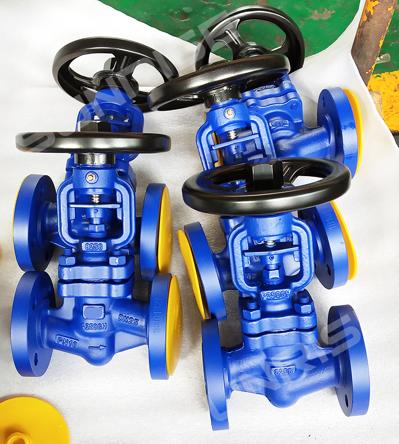 Bellow Globe valves Butt Weld End, DN25 PN16, Flange RF End , Body ASTM GPH250GH